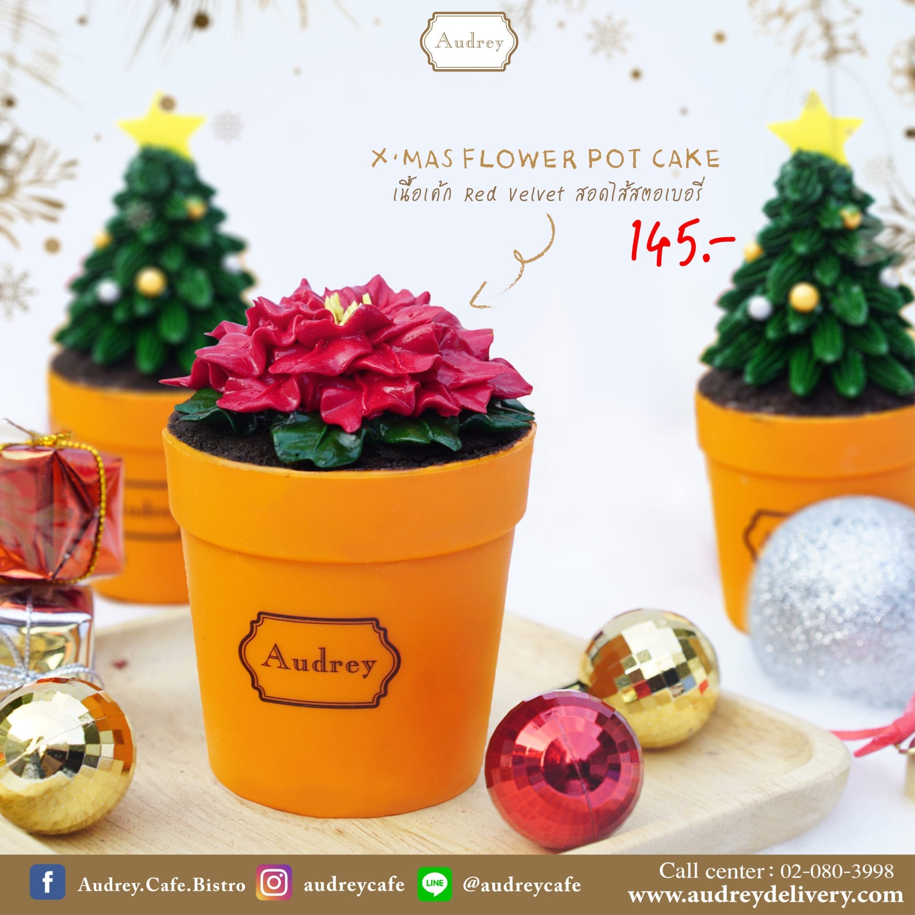 temp-132080181 4862938137111838 4568752706865460862 n