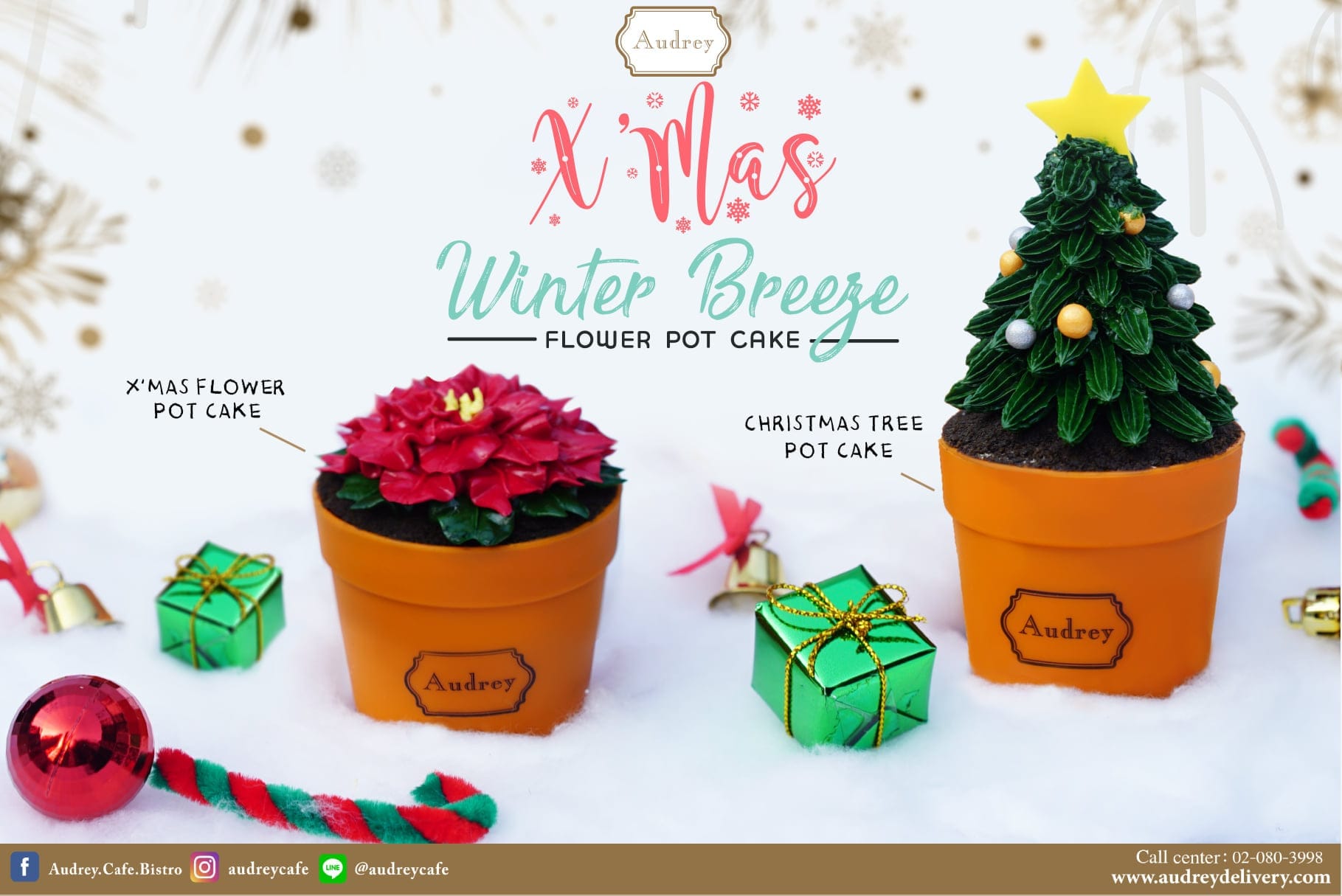 temp-132891124 4862935533778765 1110162763424297124 n