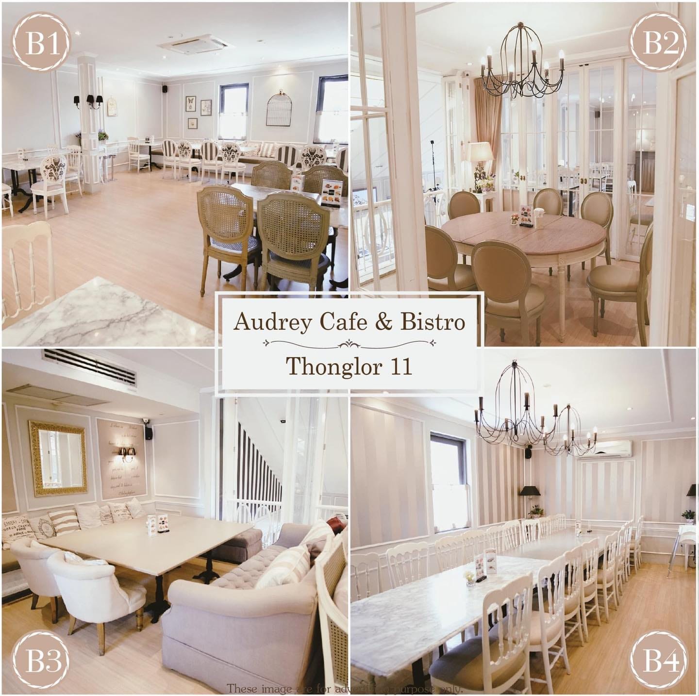 temp-278994724 7348294155242878 8034053336276766182 n