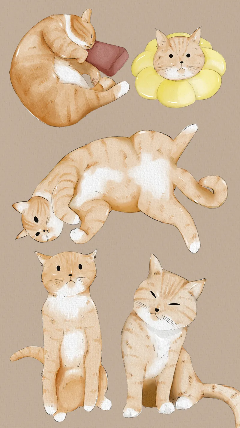 PUMKINALL